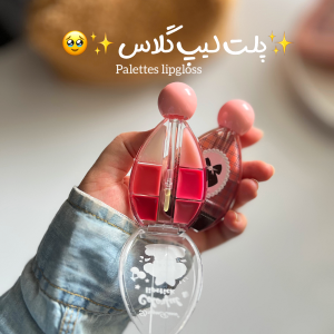 پالت لیپ گلاس دراگون 6رنگ